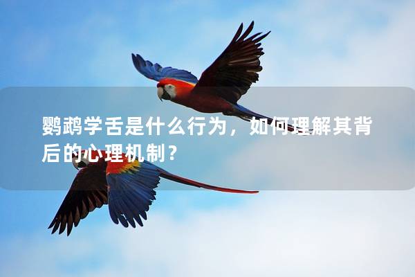 鹦鹉学舌是什么行为，如何理解其背后的心理机制？