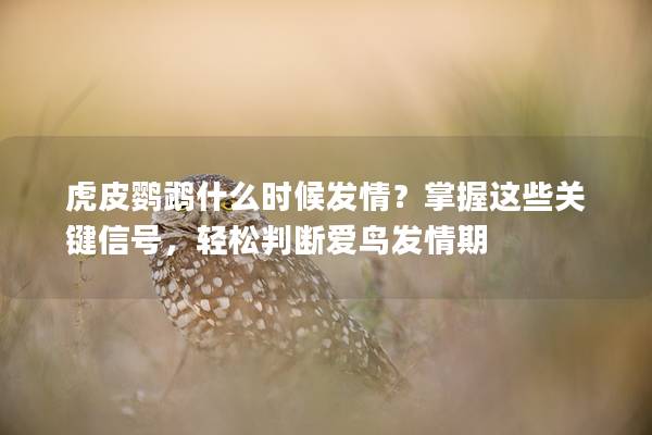 虎皮鹦鹉什么时候发情？掌握这些关键信号，轻松判断爱鸟发情期