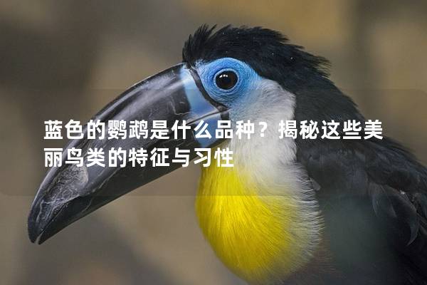 蓝色的鹦鹉是什么品种？揭秘这些美丽鸟类的特征与习性