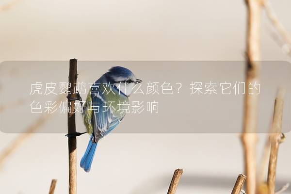 虎皮鹦鹉喜欢什么颜色？探索它们的色彩偏好与环境影响