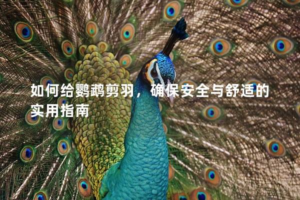 如何给鹦鹉剪羽，确保安全与舒适的实用指南