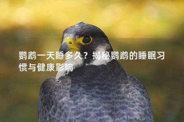 鹦鹉一天睡多久？揭秘鹦鹉的睡眠习惯与健康影响