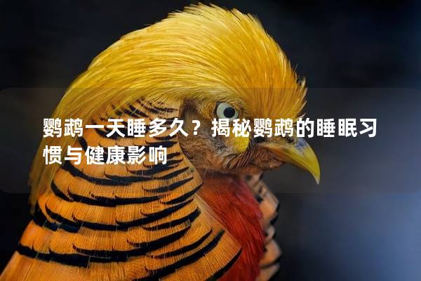 鹦鹉一天睡多久？揭秘鹦鹉的睡眠习惯与健康影响