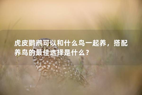 虎皮鹦鹉可以和什么鸟一起养，搭配养鸟的最佳选择是什么？