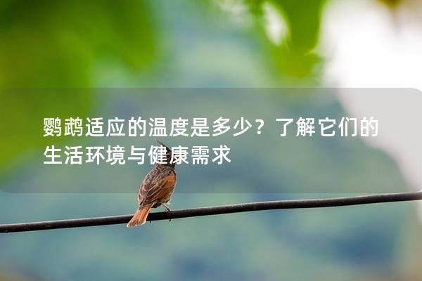 鹦鹉适应的温度是多少？了解它们的生活环境与健康需求