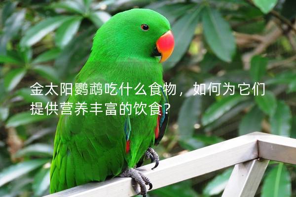 金太阳鹦鹉吃什么食物，如何为它们提供营养丰富的饮食？