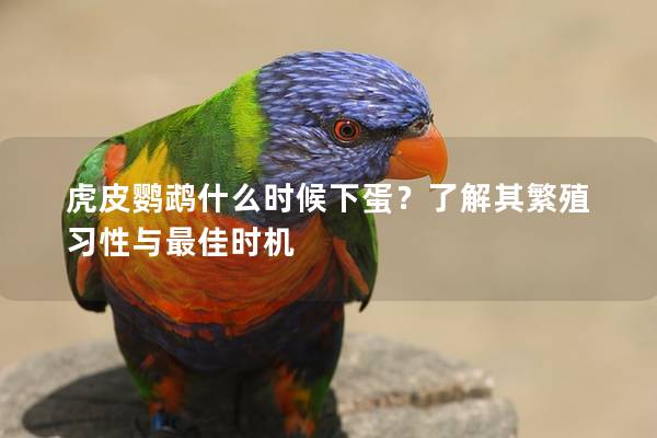 虎皮鹦鹉什么时候下蛋？了解其繁殖习性与最佳时机