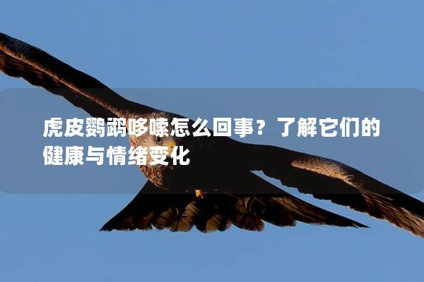 虎皮鹦鹉哆嗦怎么回事？了解它们的健康与情绪变化