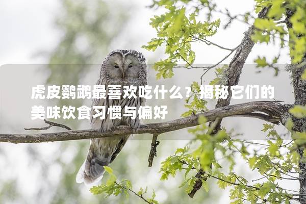 虎皮鹦鹉最喜欢吃什么？揭秘它们的美味饮食习惯与偏好