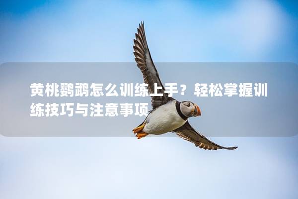 黄桃鹦鹉怎么训练上手？轻松掌握训练技巧与注意事项