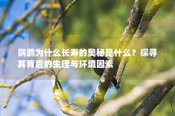 鹦鹉为什么长寿的奥秘是什么？探寻其背后的生理与环境因素