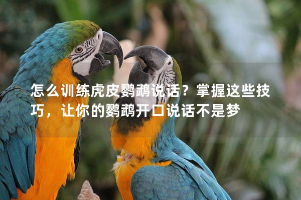 怎么训练虎皮鹦鹉说话？掌握这些技巧，让你的鹦鹉开口说话不是梦