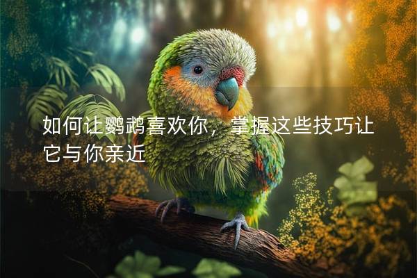 如何让鹦鹉喜欢你，掌握这些技巧让它与你亲近