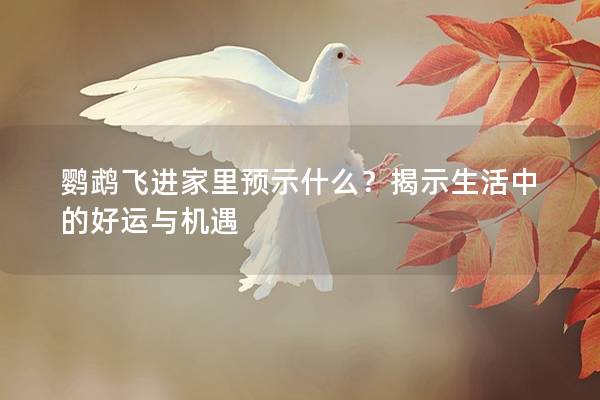 鹦鹉飞进家里预示什么？揭示生活中的好运与机遇
