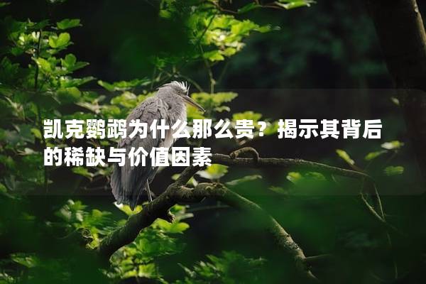 凯克鹦鹉为什么那么贵？揭示其背后的稀缺与价值因素