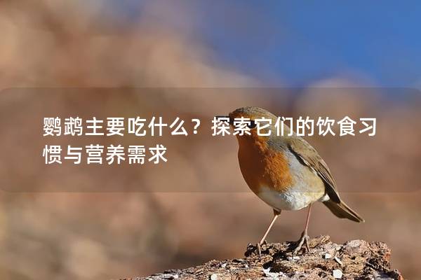 鹦鹉主要吃什么？探索它们的饮食习惯与营养需求