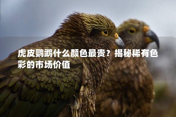 虎皮鹦鹉什么颜色最贵？揭秘稀有色彩的市场价值