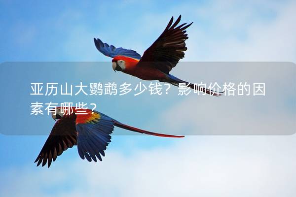 亚历山大鹦鹉多少钱？影响价格的因素有哪些？