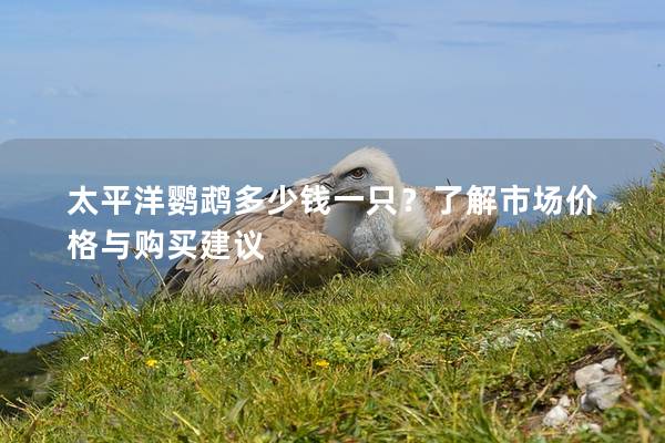 太平洋鹦鹉多少钱一只？了解市场价格与购买建议