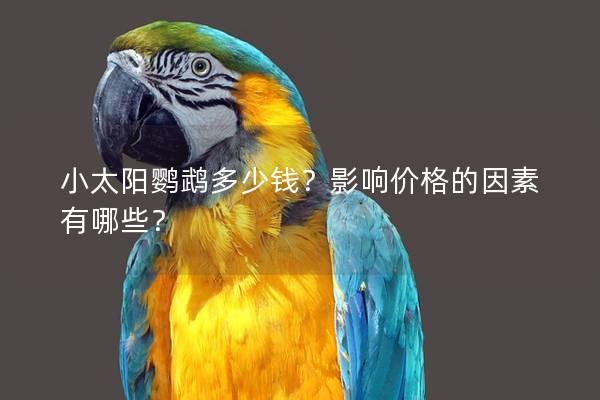 小太阳鹦鹉多少钱？影响价格的因素有哪些？