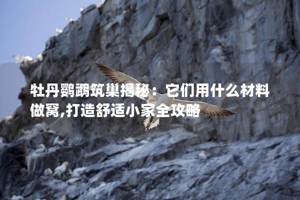 牡丹鹦鹉筑巢揭秘：它们用什么材料做窝,打造舒适小家全攻略