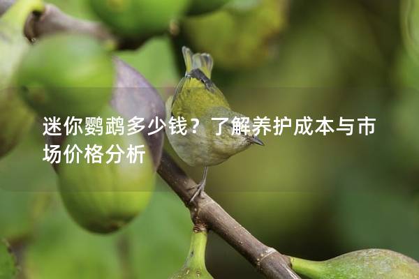 迷你鹦鹉多少钱？了解养护成本与市场价格分析