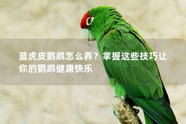 蓝虎皮鹦鹉怎么养？掌握这些技巧让你的鹦鹉健康快乐
