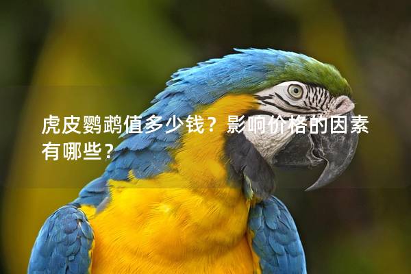 虎皮鹦鹉值多少钱？影响价格的因素有哪些？