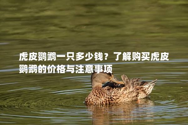 虎皮鹦鹉一只多少钱？了解购买虎皮鹦鹉的价格与注意事项