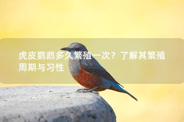虎皮鹦鹉多久繁殖一次？了解其繁殖周期与习性