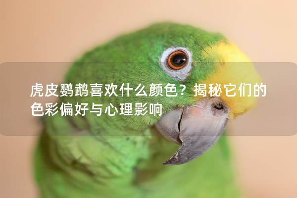 虎皮鹦鹉喜欢什么颜色？揭秘它们的色彩偏好与心理影响