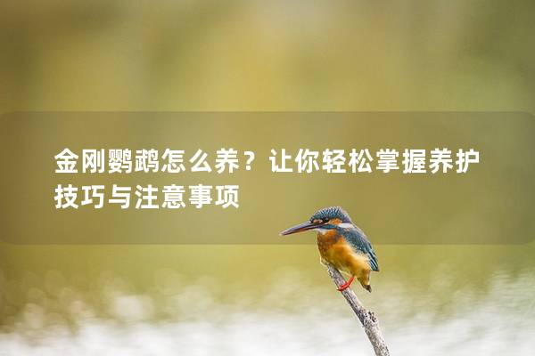 金刚鹦鹉怎么养？让你轻松掌握养护技巧与注意事项