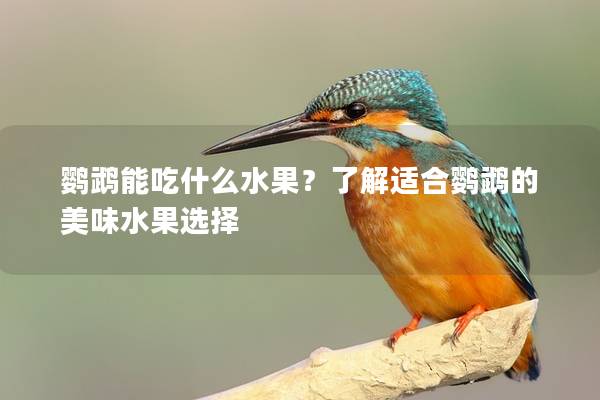 鹦鹉能吃什么水果？了解适合鹦鹉的美味水果选择