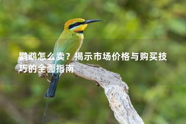 鹦鹉怎么卖？揭示市场价格与购买技巧的全面指南