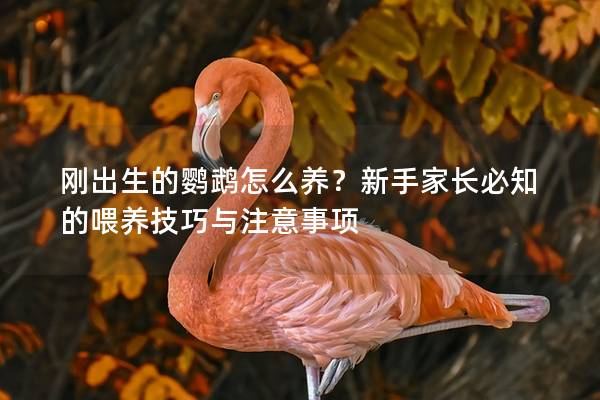刚出生的鹦鹉怎么养？新手家长必知的喂养技巧与注意事项