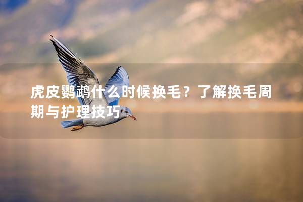 虎皮鹦鹉什么时候换毛？了解换毛周期与护理技巧