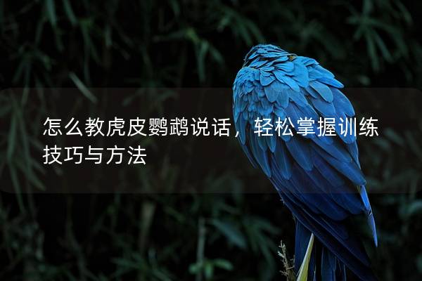 怎么教虎皮鹦鹉说话，轻松掌握训练技巧与方法