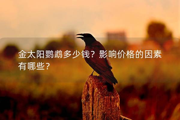 金太阳鹦鹉多少钱？影响价格的因素有哪些？