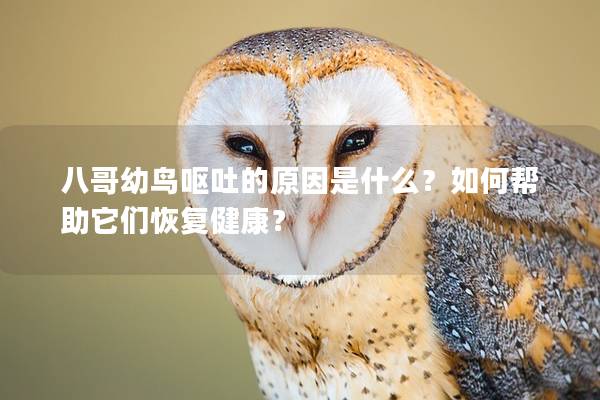 八哥幼鸟呕吐的原因是什么？如何帮助它们恢复健康？