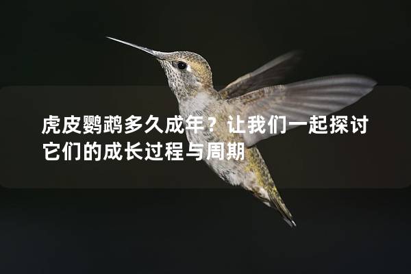 虎皮鹦鹉多久成年？让我们一起探讨它们的成长过程与周期