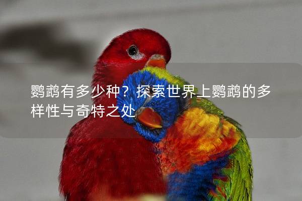 鹦鹉有多少种？探索世界上鹦鹉的多样性与奇特之处