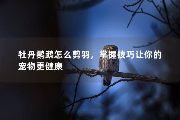 牡丹鹦鹉怎么剪羽，掌握技巧让你的宠物更健康