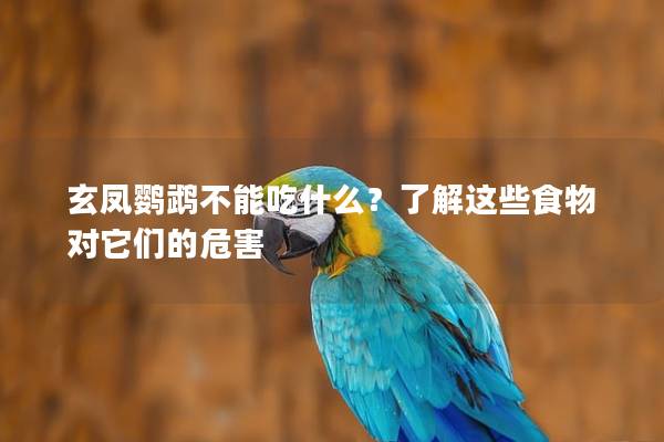 玄凤鹦鹉不能吃什么？了解这些食物对它们的危害