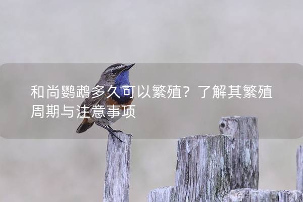 和尚鹦鹉多久可以繁殖？了解其繁殖周期与注意事项