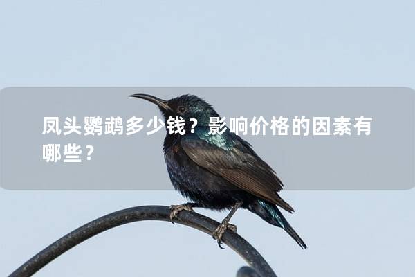 凤头鹦鹉多少钱？影响价格的因素有哪些？