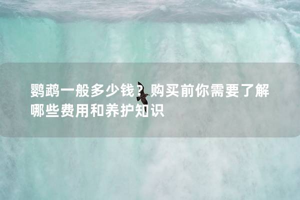 鹦鹉一般多少钱？购买前你需要了解哪些费用和养护知识