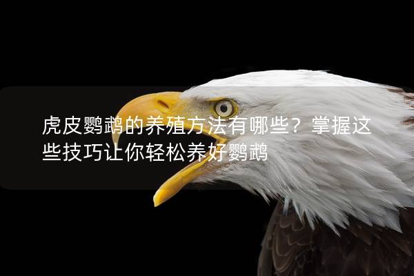 虎皮鹦鹉的养殖方法有哪些？掌握这些技巧让你轻松养好鹦鹉