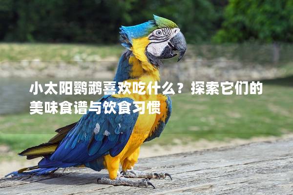 小太阳鹦鹉喜欢吃什么？探索它们的美味食谱与饮食习惯