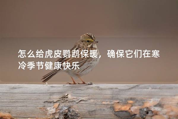 怎么给虎皮鹦鹉保暖，确保它们在寒冷季节健康快乐