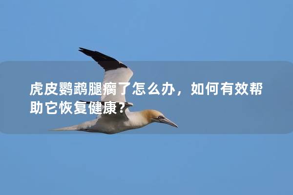 虎皮鹦鹉腿瘸了怎么办，如何有效帮助它恢复健康？